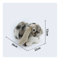 Gift Idea Lop Eared Rabbit Stuffed Cute Lop-Eared Bunny Stuffed Soft and Cuddly for Children
