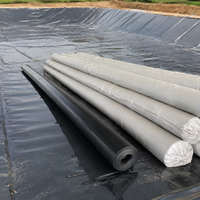 HDPE Geomembrane Sheet 0.2mm Thick Black Waterproof Sheet for Reservoirs and Aquaculture Ponds