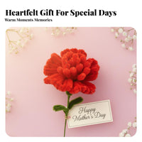 Pipe Cleaner Carnation Bright Colors Chenille Stem Flower Thick and Soft Handmade Soft-Textured Carnation for Family Appreciation Day