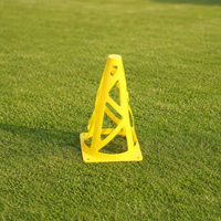 training cone