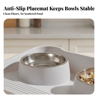 Stainless Steel Double Pet Bowl Spill Proof Cat Food and Water Bowl Set Anti-Slip Base for Cats, Kittens