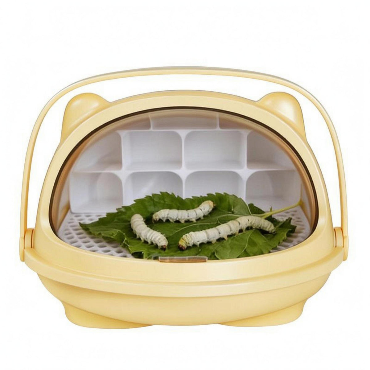 Perforated Silkworm Breeding Box Arched Handle Clear Silkworm Breeding Box Molded Compartments Pet Supplies Compact