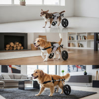 Lightweight Dog Wheelchair Long-Lasting Dog Wheelchair with Harness Stable Pet Mobility Aid Easy to Assemble for Disabled Pets