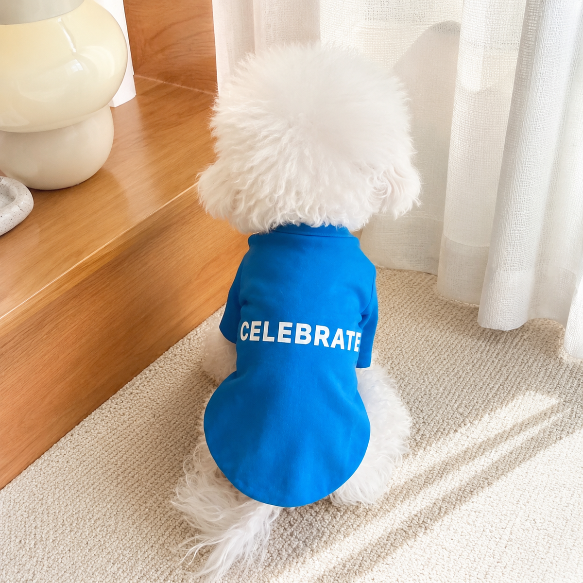 Pet Shirts Dog Clothes, Thin Polyester Sweatshirt, Summer Small Dog Cat Pet Clothing, Crew Neck Puppy T-Shirt for Teddy Pomeranian, XL