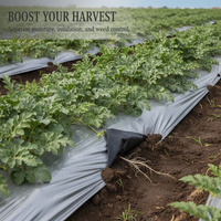 Silver-Black Agricultural Mulch Film for Watermelon Cultivation - Thickened, Insulating, Reflective, Weed Control