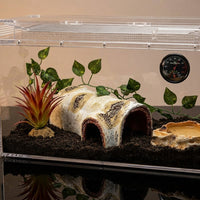 Birch Hideaway Resin Hollow Hideout House, Crested Gecko Tank Accessories and Amphibian Habitat, Water-Resistant Log for Turtle and Insect