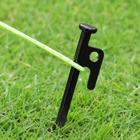 tent stakes and guy lines