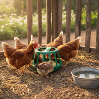 Chicken Feeder Easy to Clean Bird Feeding Trough Hygienic Farm Equipment Supplies for Farmers