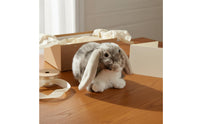 Gift Idea Lop Eared Rabbit Stuffed Cute Lop-Eared Bunny Stuffed Soft and Cuddly for Children