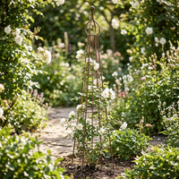 Plant Support Obelisk, Rust-Free Trellis for Garden, Powder-Coated, Freestanding, for Climbing Plants and Cucumbers