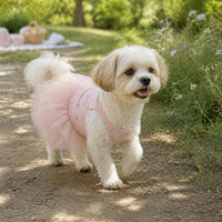 Pet Princess Dress for Cats and Small Dogs - Summer Wedding Floral Ballet Tutu Skirt
