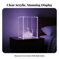 Transparent Surprise Box Organizer High Clarity Clear Acrylic Display Box Acrylic Storage Organizer Particles Proof for Desk