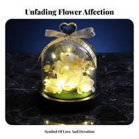 Handmade Eternal Blossom Bear Glass Dome Handmade Light up Blossom Bear Gift Long Lasting for Girlfriends, Wife, Valentine's Day, Desk