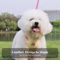 Dog Harness and Leash Set Cute Design Vest Dog Harness Lightweight for Daily Use, Outdoor, Training