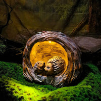 Lighted Creature Decoration Waterproof Resin Hedgehog Statue Illuminated Resin Hedgehog Figurine Weatherproof Outdoor Lighting