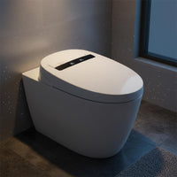 Warm Water Wash Instant Heating Toilet Seat Cover Auto Sensing Built-in Reservoir Toilet Seat Self Cleaning Nozzle Wireless Control