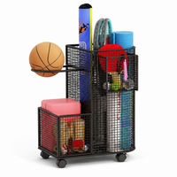 sports ball storage rack