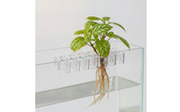 6 Pieces Aquarium Planter Clear Aquarium Plant Clip Hydroponic Support Clip with Screws Transparent for Aquarists, Aquariums