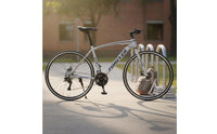 Professional Derailleur System 700C Road Bike Aerodynamic Frame Disc Brake Racing Bike Sealed Bottom Bracket Sports Equipment for Commuters