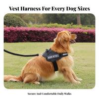 Easy Walk Vest Type Dog Harness Lightweight Dog Harness and Leash Set Heavy Duty Buckle for Dogs, Young Dogs, Outdoor, Daily Use, Training