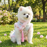 Pet Princess Dress with Hood, Ruffled Layered Small Dog Skirt, Warm Thick Pet Clothing and Cat Dress with Tassel Bow Autumn Dog Clothes