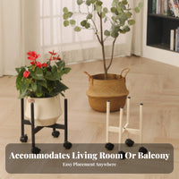 Wheeled Plant stand Movable with casters Home Furnishing Minimalist Design for Seniors