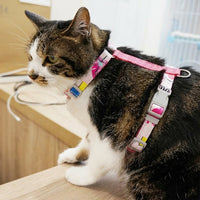Cat Harness and Chocolate Bear Harness XS Set with Cat Leash, Cross-over Soft Mesh Kitten Harness for Outdoor Walking