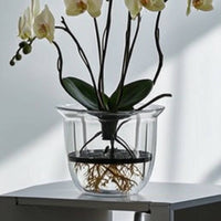Transparent Self-Watering Plant Pot Plastic Plant Pot with Self-Watering Structure Indoor Flower Planters Lightweight for Gardeners, Windowsill, Desk