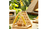 Tabletop Bird Stand Compact Wooden Parrot Stand Tabletop Bird Perch Stable Indoor for Parrots