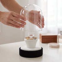 Digu Glass Dustproof Jewelry Display Stand for Rings, Pendants, Earrings, Bracelets