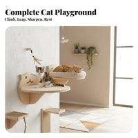 Pegboard Cat Climber Transparent Space Capsule personalizedizable Cat Activity vertical panel-mounted DIY Layout Pet Furniture for People with Small Homes