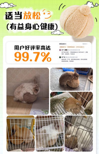 Rabbit Toy Entertainment Ball for Hamsters, Cotton Linen, Wear-Resistant