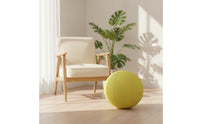 Exercise Ball Cover Snug Exercise Ball Cover with Zipper Preserving for Fitness Enthusiasts