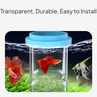 Floating Fish Isolation Box Breeding Hatchery Fry Guard