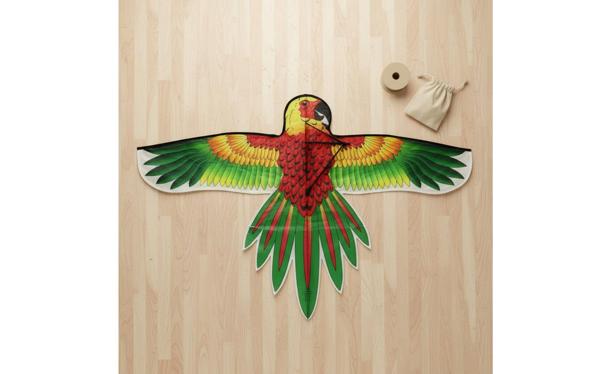 Large Wings Colorful Parrot Kite Easy to Assemble for Park and Beach