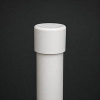 PVC Water Supply Pipe End Cap Plug for Plumbing Fittings