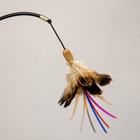 Meowcard Retractable Feather Teaser Wand for Cats, CFA Competition Grade, with Replaceable Attachments