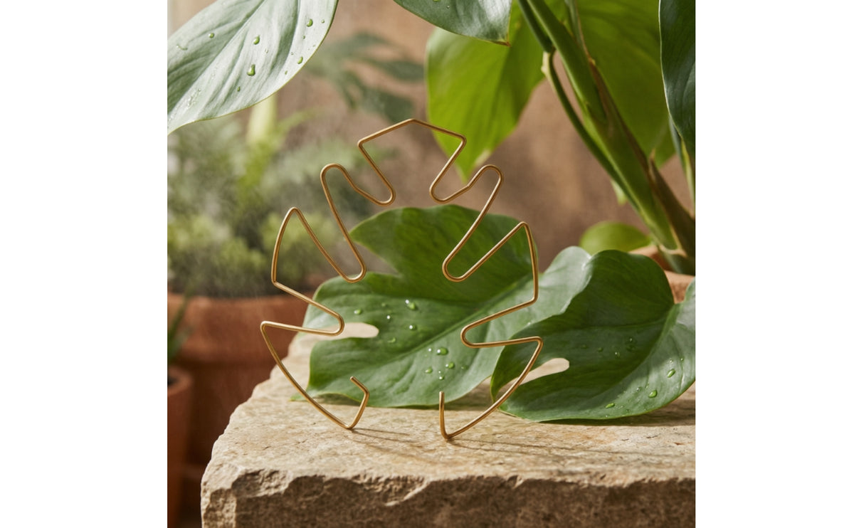 Plant Stem Gathering Hoop Thickened Wire Metal Plant Support Frame Versatile Use Gardening Supplies for Houseplant Owners, Gardeners, Indoor, Balcony