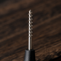 tent stake