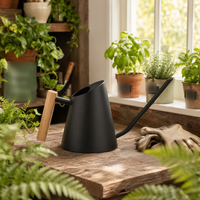 Conical Watering Can Open Top Stainless Steel Watering Can Garden Tool