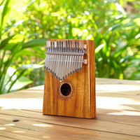Wooden 21-Key Kalimba Acoustic Kalimba with Safeguarding Case Handheld Thumb Piano with Instructions Compact for Music Lovers, Home