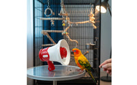 Parrot Trainer: Audio Recorder Speaker