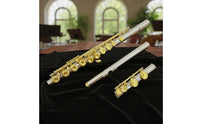 Gold Key Flute Complete Accessories Silver Flute Brazed Construction for Beginners, Exam, Practice