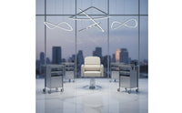 Hydraulic Salon Chair Heavy-Duty Base Swivel Barber Chair Ergonomic Design for Hair Stylists, Barbers, Beauty Parlor
