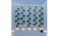 Stainless Steel Cable Trellis Rust Resistant Climbing Plant Support Set Easy to Install Wire Trellis for Climbing Plants Outdoor for Gardeners, Outdoor, Backyard