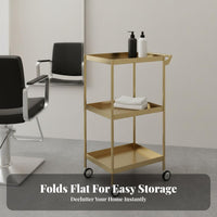 Stainless Steel Salon Trolley Space-Saving Foldable Salon Trolley With Wheels Rolling Hairdressing Cart for Hairstylists, Barbershop, Barber Shop, Spa