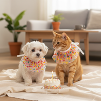 Pet Birthday Bandana and Hat Set for Small to Medium Dogs