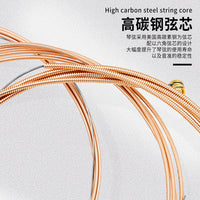 IRIN Acoustic Guitar Strings 6 Strings 3 Sets Coated Anti-Rust