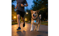 Portable Pet Collar Light with Carabiner Clip Compact Attach-on Pet Collar Light Lightweight Pendant Bright for Dogs