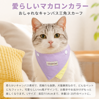 Dog & Cat Bandana, Birthday, Size S, Lilac, Canvas Fabric, Pet Accessory, Fits Neck Up to 30cm